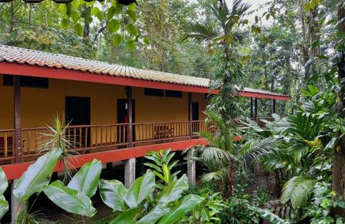 Sarapiqui Hotel | Hotel El Bambu