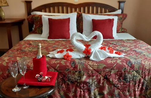 Puerto Barrios Hotel | Hotel El Delfin