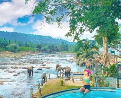 Pinnawala Hotel | Hotel Elephant Bay