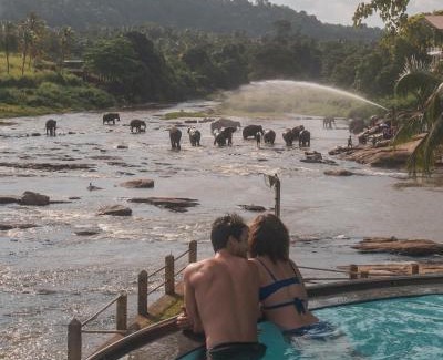 Pinnawala Hotel | Hotel Elephant Bay