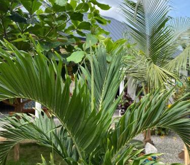 Togo Hotel | Hotel Eyram Kpalime