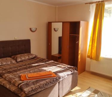 Turnu Ruieni Hotel | Hotel Felix