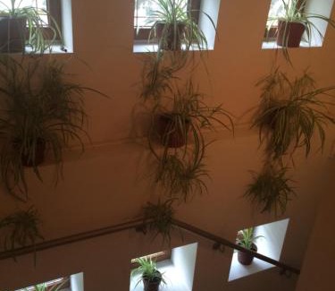Otelu Rosu Hotel | Hotel Fiama