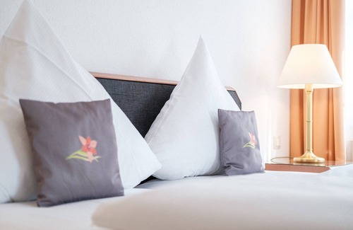 Stuttgart Hotel | Hotel Flora Stuttgart - Möhringen