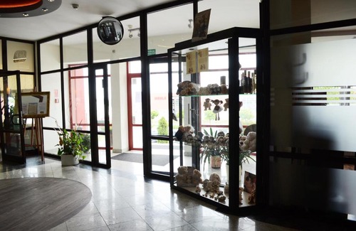 Pruszcz Gdanski Hotel | Hotel Górski