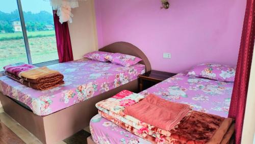 Sauraha House | Hotel Garden of Dreams