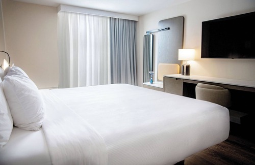 Downtown Halifax Hotel | Hotel Halifax