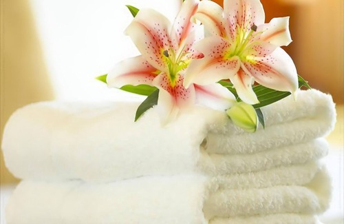 Bibione Pineda Hotel | Hotel Jasminum