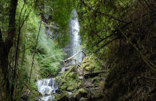 Puren Cabin | Hotel Lawenco