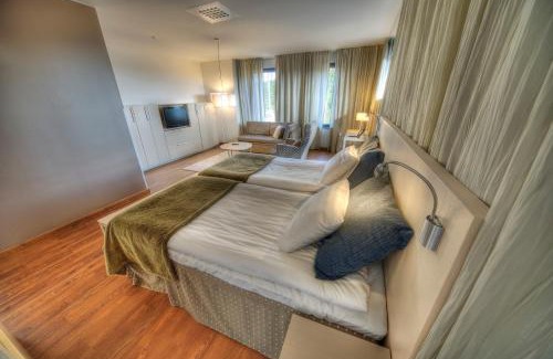 Sirkka Hotel | Hotel Levi Panorama