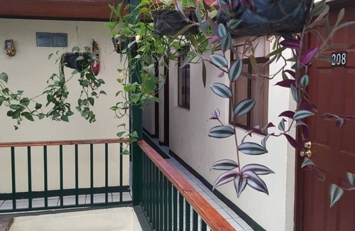 Quetzaltenango Apartment | HOTEL LOS OLIVOS