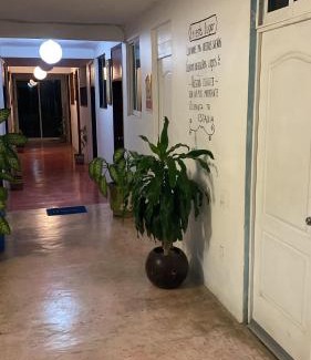 Casitas Hotel | Hotel Lu'um