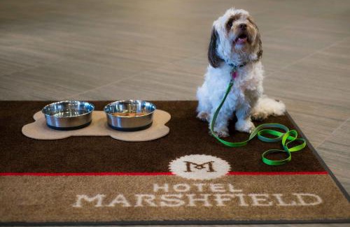 Marshfield Hotel | Hotel Marshfield, BW Premier Collection