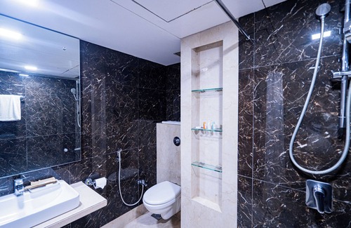 Raipur Hotel | Hotel Mayura