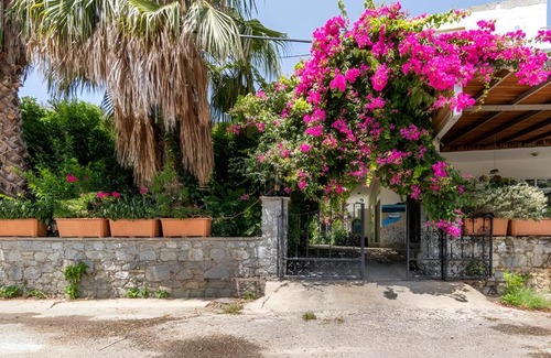 Mazıkoy Bed & Breakfast | Hotel Mazı