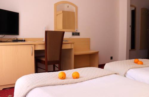 Brzeziny Hotel | Hotel Nad Mrogą