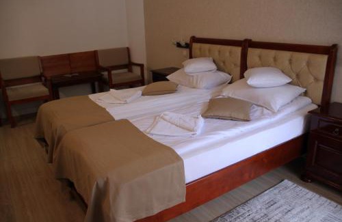 Slanic-Moldova Hotel | Hotel Nemira