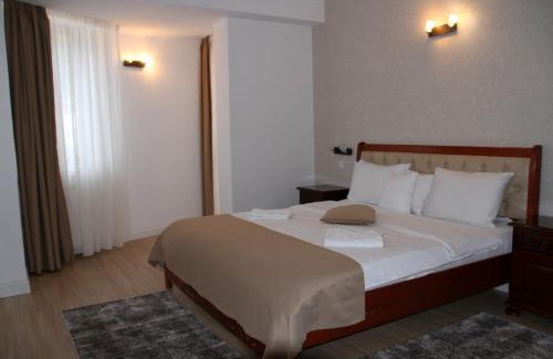 Slanic-Moldova Hotel | Hotel Nemira