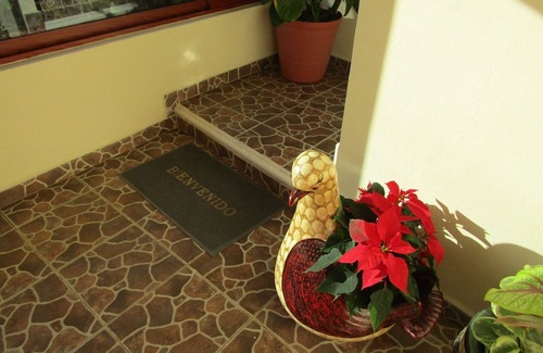 Xpujil Hotel | Hotel NICTE HA