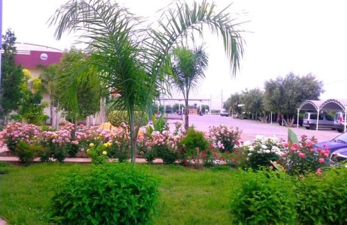 Krifate Apartment | HOTEL OUM EL FADL