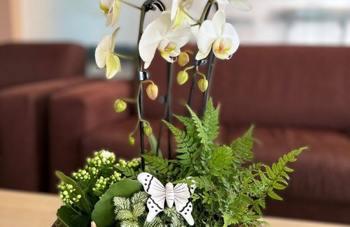 Timisoara Hotel | Hotel Oxford Inn & Suites