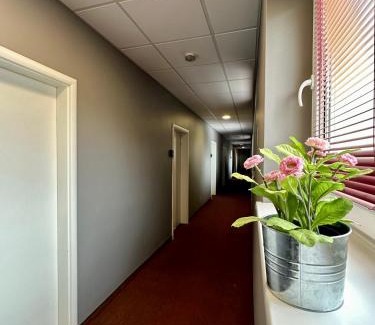 Kutno Hotel | Hotel Paola