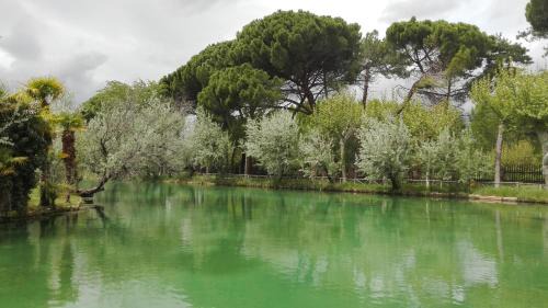 Alhama de Aragon Hotel | Hotel Parque Balneario Termas Pallares