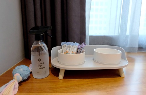 Seocho-dong Hotel | Hotel Peyto Gangnam