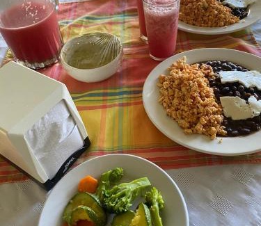 Catemaco Hotel | Hotel Playa Azul