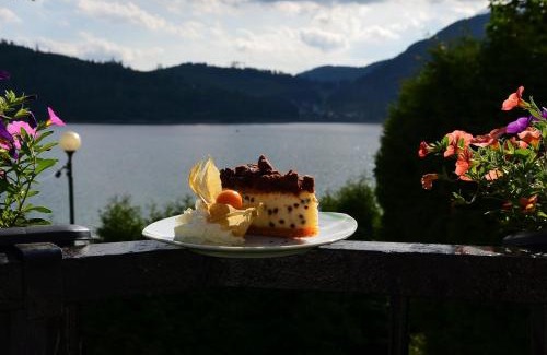 Dedinky Hotel | Hotel Priehrada