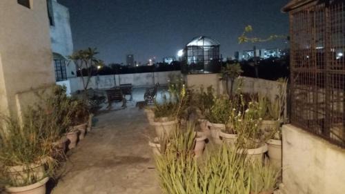 Paharganj House | Hotel Prince Palace (The Green)