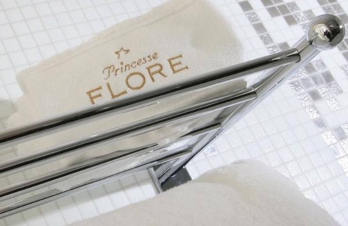 Royat Hotel | Hotel Princesse Flore