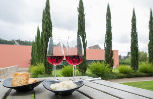 Mancelos Hotel | Hotel Quinta da Cruz & SPA