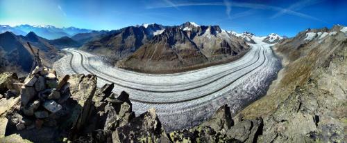 Morel Hotel | Hotel Restaurant Aletsch