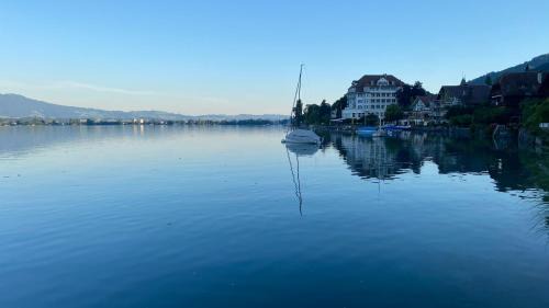 Hilterfingen Hotel | Hotel Restaurant Bellevue au Lac