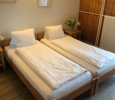 Maienfeld Hotel | Hotel Restaurant Heidihof