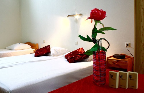 Diepenheim Hotel | Hotel Restaurant 'T Holt