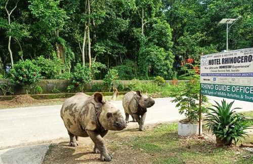 Sauraha House | Hotel Rhinoceros-Homestay