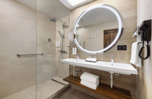 Streeterville Hotel | Hotel Riu Plaza Chicago