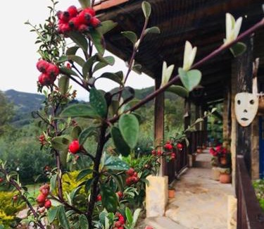 Simijaca House | Hotel Rural Granja Agroecoturistica Santa Barbara
