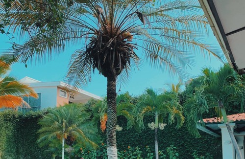 Antiguo Cuscatlan Hotel | Hotel Santa Elena