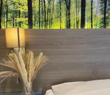 Schriesheim Hotel | Hotel Scheid