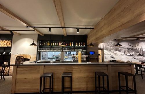 Nove Hamry Hotel | Hotel Schwarz