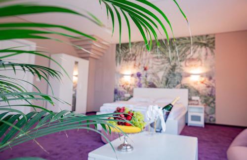 Timisoara Hotel | Hotel Senator