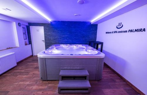 Uhersky Brod Hotel | Hotel & SPA centrum PALMIRA