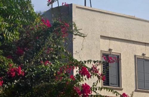 Mahesana Hotel | Hotel Spring Holiday's
