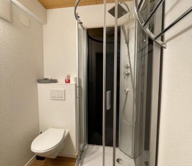 Gurtnellen Hotel | Hotel Sternen
