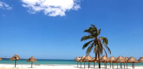 Progreso Municipality Hotel | Hotel & Suites Domani