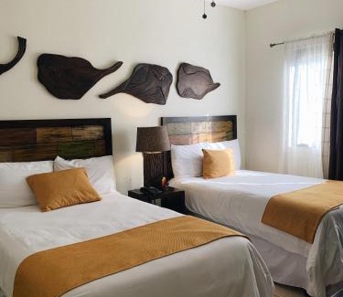 Alegria Hotel | HOTEL TEKAPA