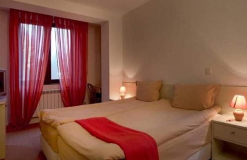 Sapareva Banya Hotel | Hotel Temenuga